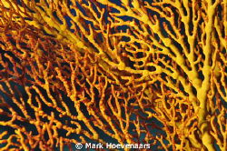 Abstract by Mark Hoevenaars 